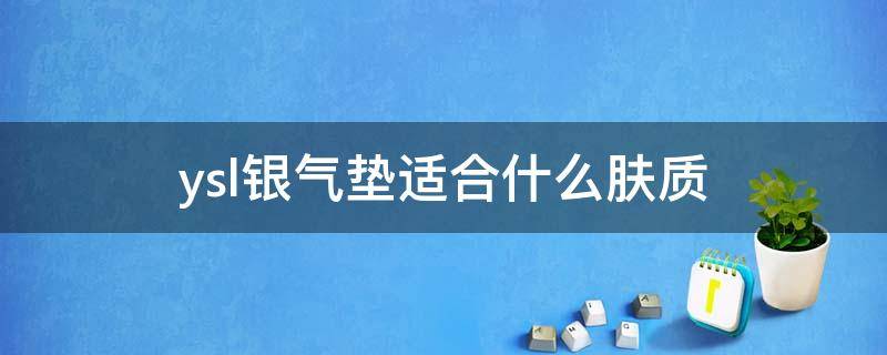 ysl银气垫适合什么肤质 ysl银气垫适合什么肤质的