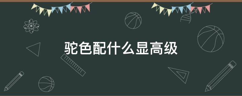 驼色配什么显高级（驼色配什么显高级气质）