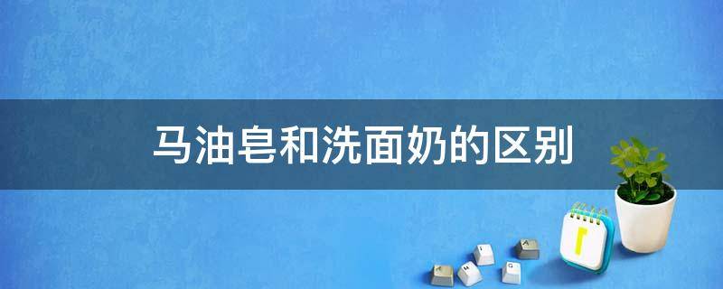 马油皂和洗面奶的区别（马油皂和洗面奶哪个洗脸更好些）