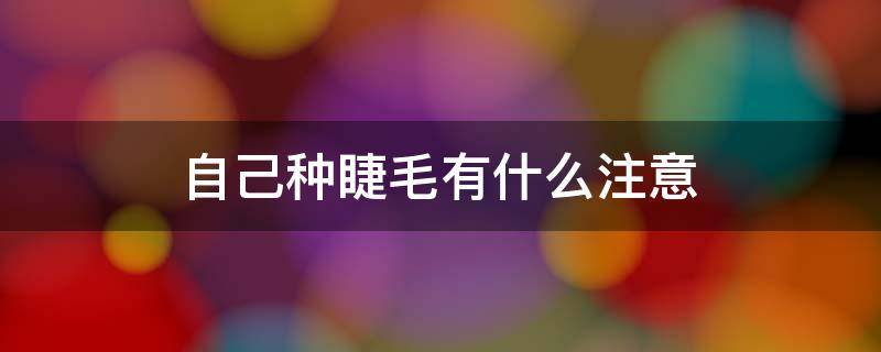 自己种睫毛有什么注意 自己种睫毛有什么注意的