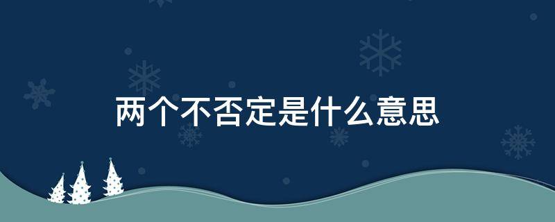 两个不否定是什么意思（两个不否定的内涵和意义）