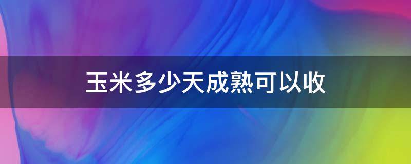 玉米多少天成熟可以收（玉米多少天成熟可以收获）