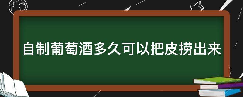 自制葡萄酒多久可以把皮捞出来（自制葡萄酒多久可以把皮捞出来?）