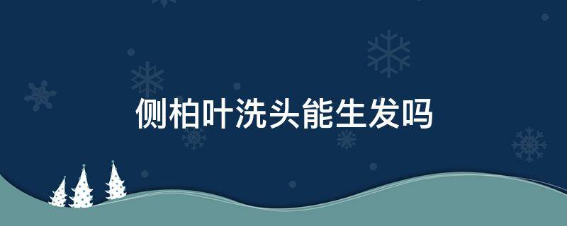 侧柏叶洗头能生发吗 侧柏叶洗头能生发吗?