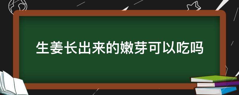 生姜长出来的嫩芽可以吃吗（姜长出的嫩芽能吃吗）