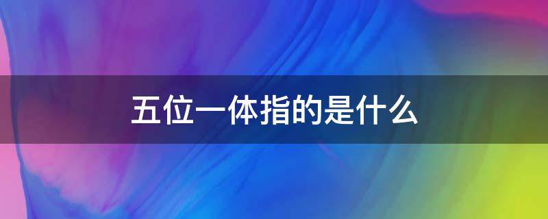 五位一体指的是什么 党建五位一体指的是什么