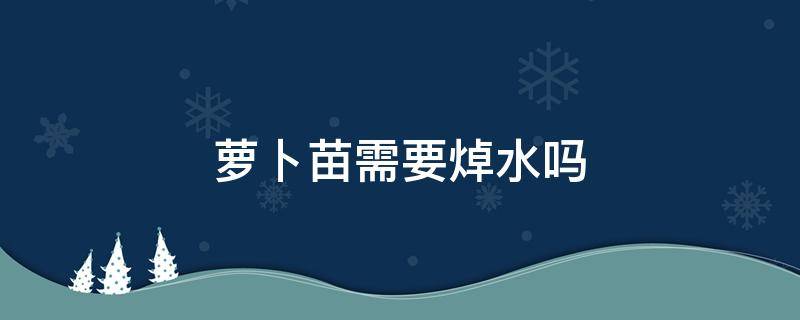 萝卜苗需要焯水吗（萝卜苗需要焯水吗为什么）