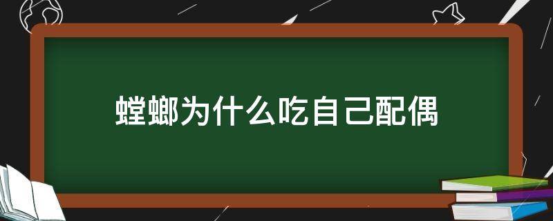 螳螂为什么吃自己配偶 螳螂为什么吃自己配偶的食物