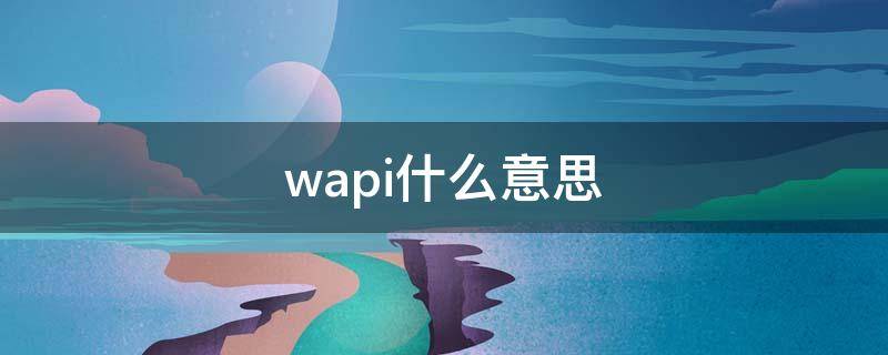 wapi什么意思（启用WAPI什么意思）