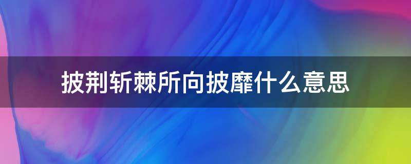 披荆斩棘所向披靡什么意思（披荆斩棘所向披靡什么意思是什么意思 视频）