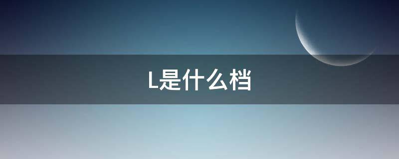 L是什么档（雅阁的s和l是什么档）