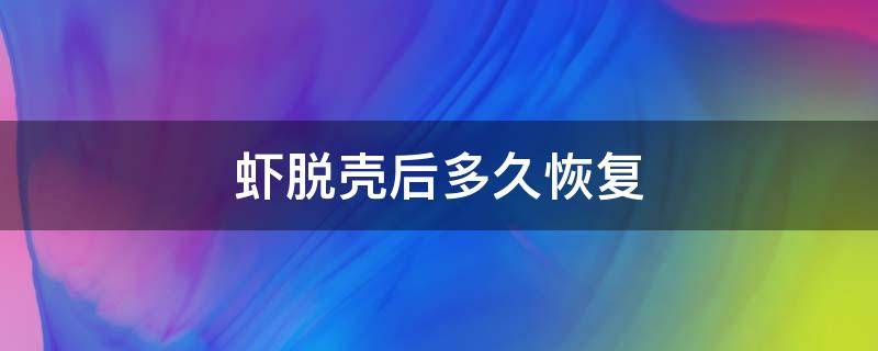 虾脱壳后多久恢复 虾脱壳后多久恢复颜色