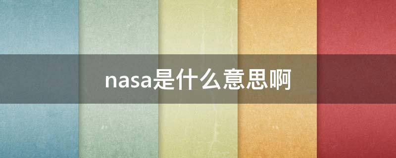 nasa是什么意思啊 NASA是什么意思啊石榴花的寓意