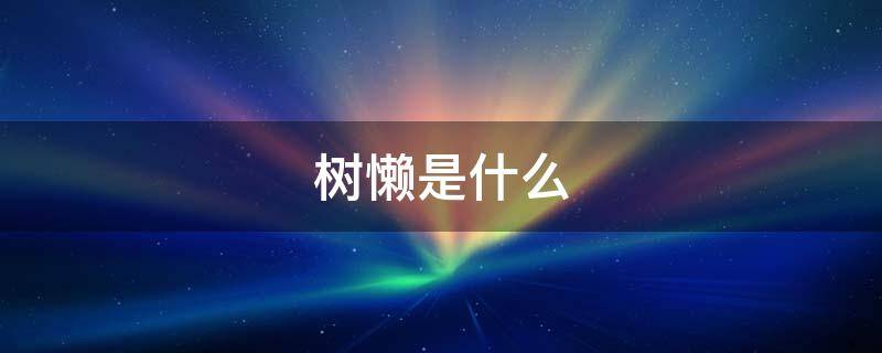 树懒是什么（树懒是什么样子）