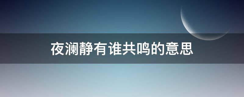 夜澜静有谁共鸣的意思（夜阑静有谁共鸣是什么意思）