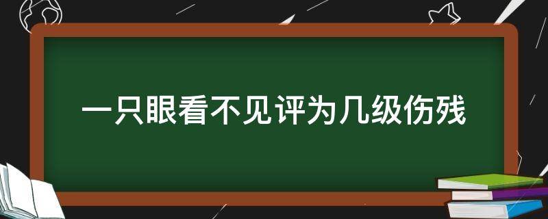 一只眼看不见评为几级伤残（一只眼看不见属于几级伤残）