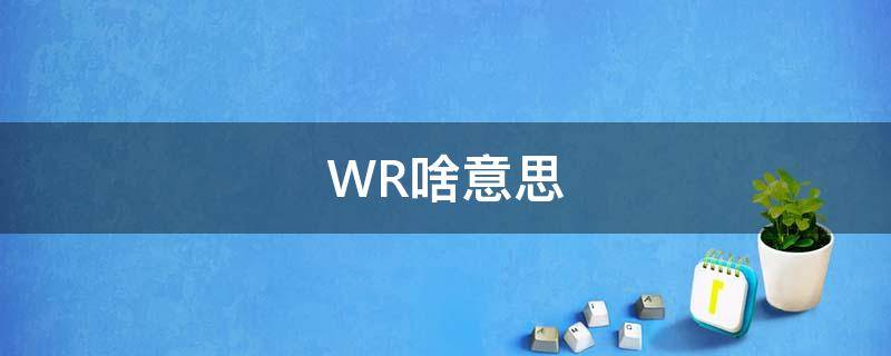 WR啥意思（wr0ng是什么意思）