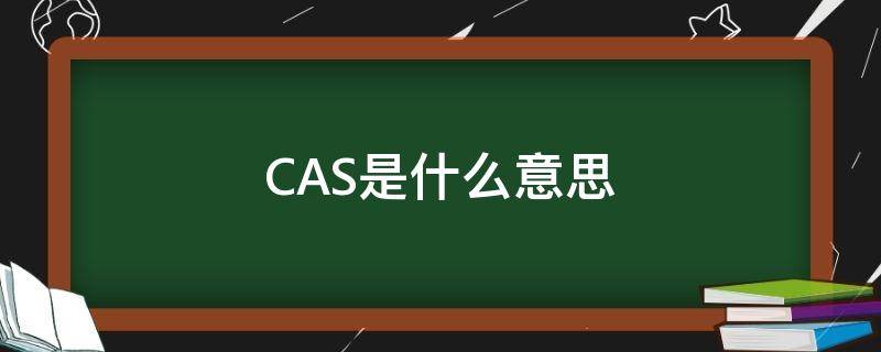 CAS是什么意思 cash是什么意思