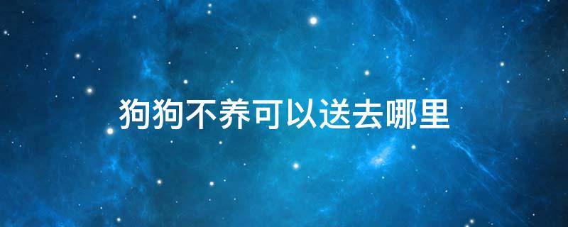 狗狗不养可以送去哪里 不养的宠物狗可以送去哪个机构