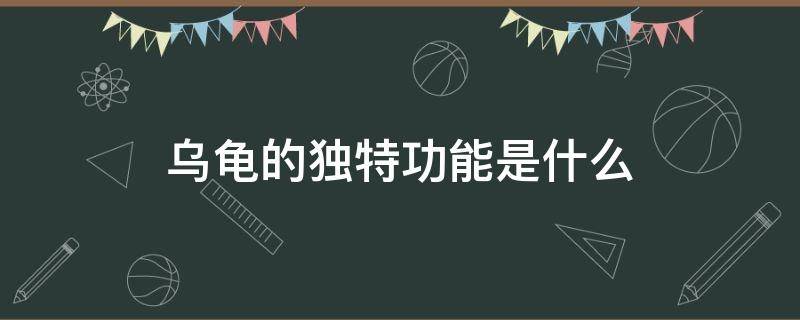 乌龟的独特功能是什么 乌龟的独特功能是什么意思