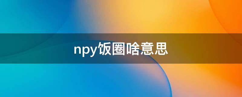 npy饭圈啥意思（np饭圈是什么意思）