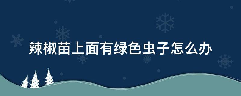 辣椒苗上面有绿色虫子怎么办（辣椒苗上面有绿色虫子怎么办视频）