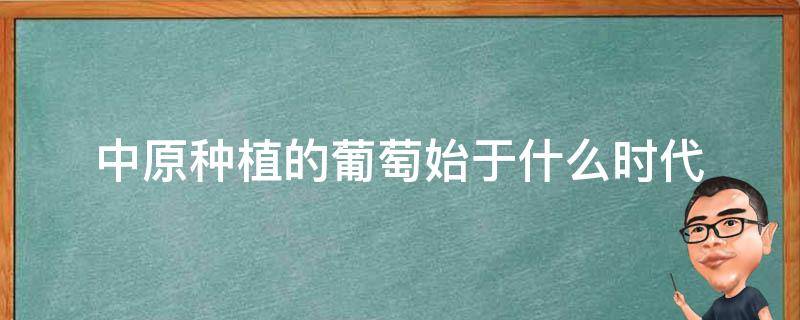 中原种植的葡萄始于什么时代（中原种葡萄开始于什么朝代）