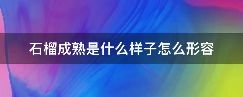 石榴成熟是什么样子怎么形容（石榴成熟用什么词语来形容）