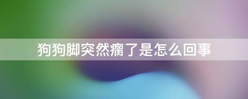 狗狗脚突然瘸了是怎么回事 狗狗脚莫名其妙的瘸了