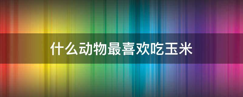 什么动物最喜欢吃玉米（什么动物喜欢吃玉米打一生肖）