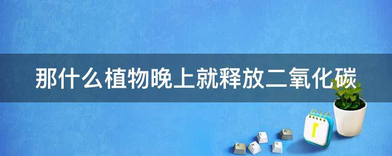 那什么植物晚上就释放二氧化碳（那什么植物晚上就释放二氧化碳了）