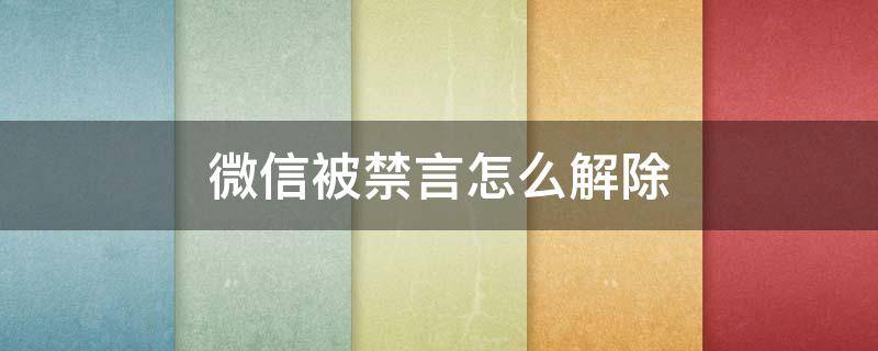 微信被禁言怎么解除 微信被禁言怎么解除恢复正常?