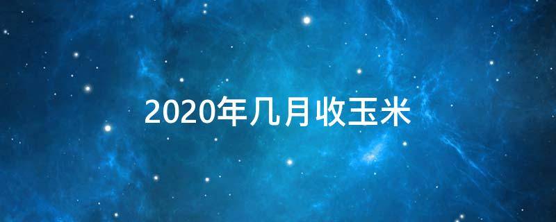 2020年几月收玉米 今年几月收玉米