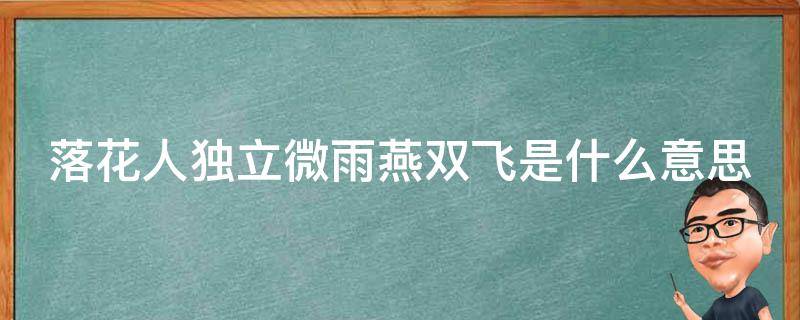 落花人独立微雨燕双飞是什么意思（落花人独立微雨燕双飞是什么意思猜成语 武大郎请客）