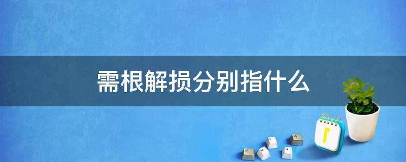 需根解损分别指什么 需根解损是什么意思