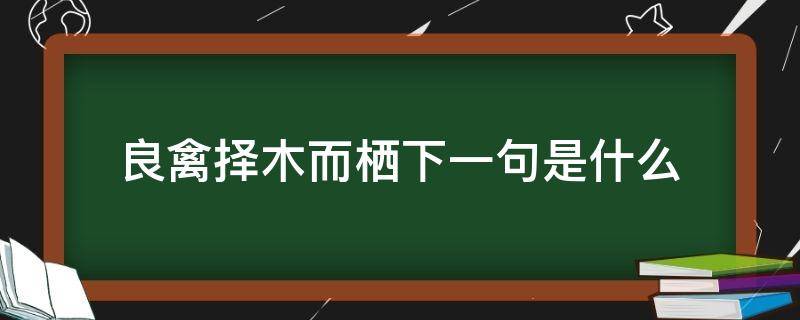 良禽择木而栖下一句是什么 良禽择木而栖下一句是什么?