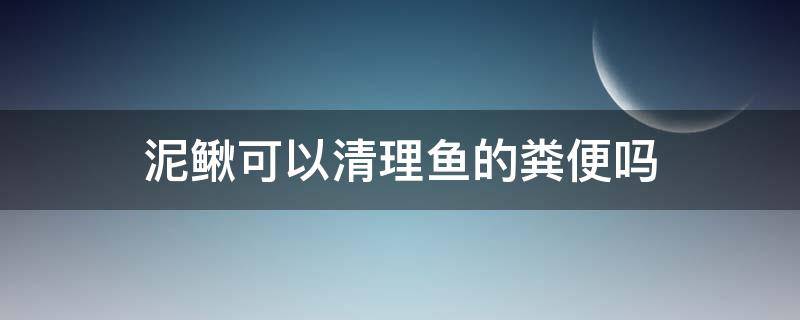 泥鳅可以清理鱼的粪便吗（泥鳅可以清理鱼的粪便吗图片）