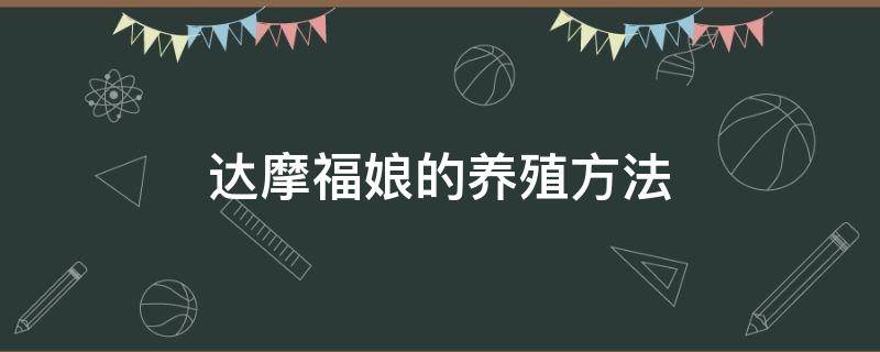 达摩福娘的养殖方法 达摩福娘的养殖方法和注意事项