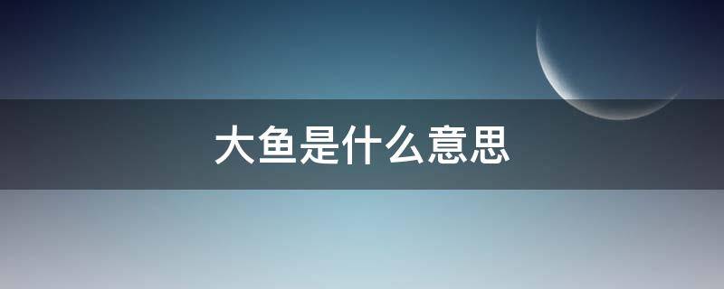 大鱼是什么意思（梦到钓到一条大鱼是什么意思）