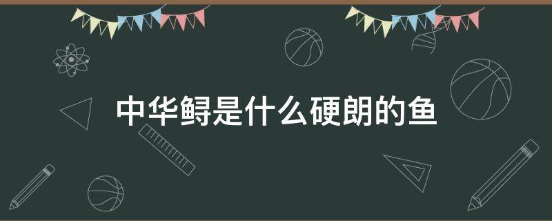 中华鲟是什么硬朗的鱼 中华鲟是什么硬朗的鱼类