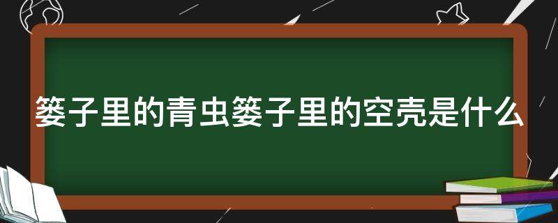 篓子里的青虫篓子里的空壳是什么 篓子里的青虫的故事