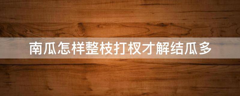 南瓜怎样整枝打杈才解结瓜多（南瓜怎样整枝打杈才解结瓜多视频）