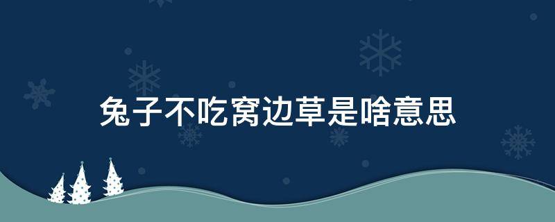 兔子不吃窝边草是啥意思 兔子不吃窝边草是什么道理