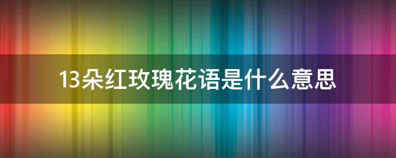 13朵红玫瑰花语是什么意思（13朵红玫瑰花花语）