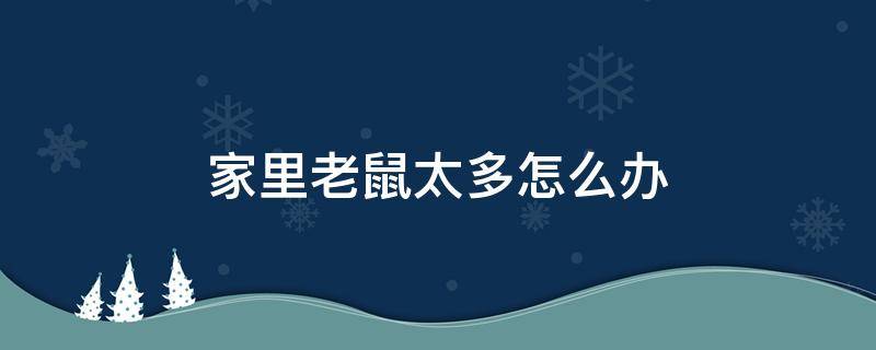 家里老鼠太多怎么办 家里老鼠太多怎么办养猫有用吗