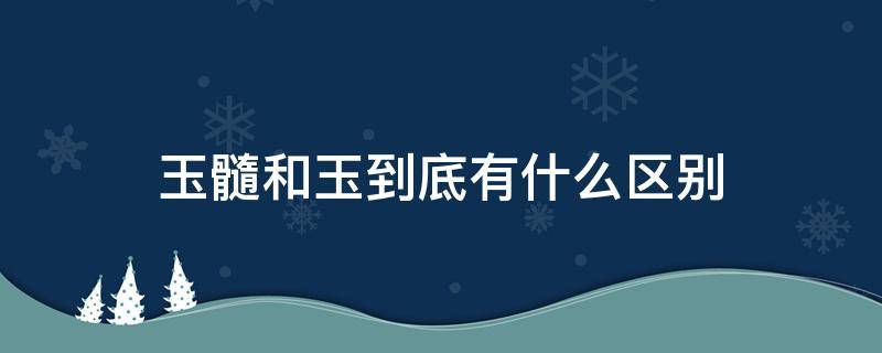 玉髓和玉到底有什么区别 玉髓和玉一样吗