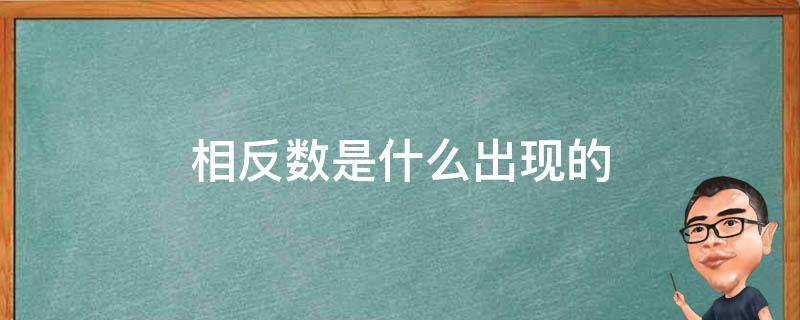 相反数是什么出现的 相反数是什么出现的除什么外