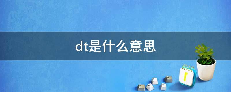 dt是什么意思（DIY是什么意思）