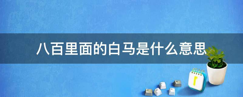 八百里面的白马是什么意思 八百里面的白马是什么意思呀