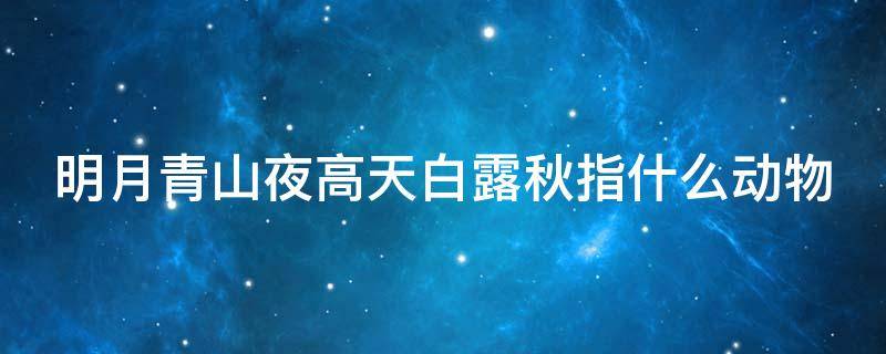 明月青山夜高天白露秋指什么动物 明月白露是什么意思